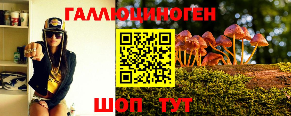 Псилоцибиновые грибы мухоморы  Галлюциногенные грибы ЛСД  Зеленогорск  Вход с VPN 