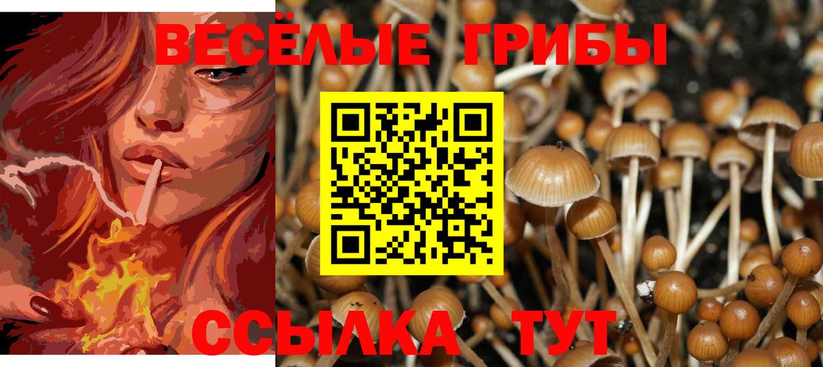 Галлюциногенные грибы мухоморы Зеленогорск